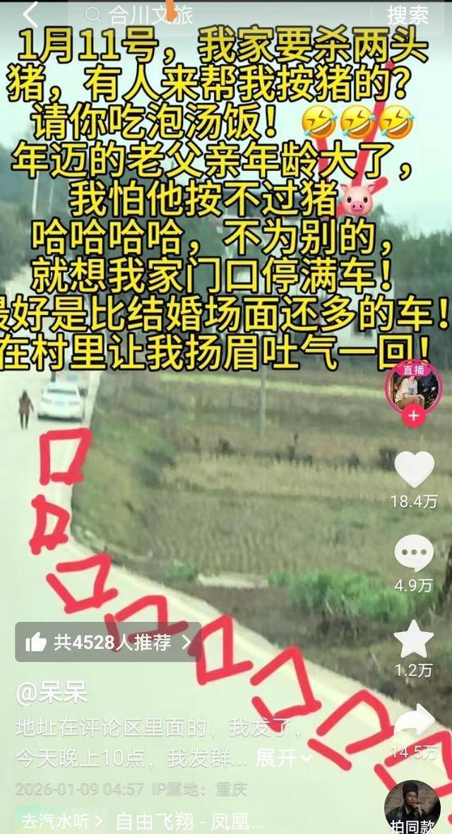 皇冠b盘_两头猪何以引发全网狂欢皇冠b盘？丨顶端观察